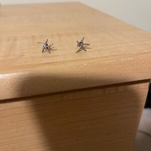 Silver Starfish Stud Earrings